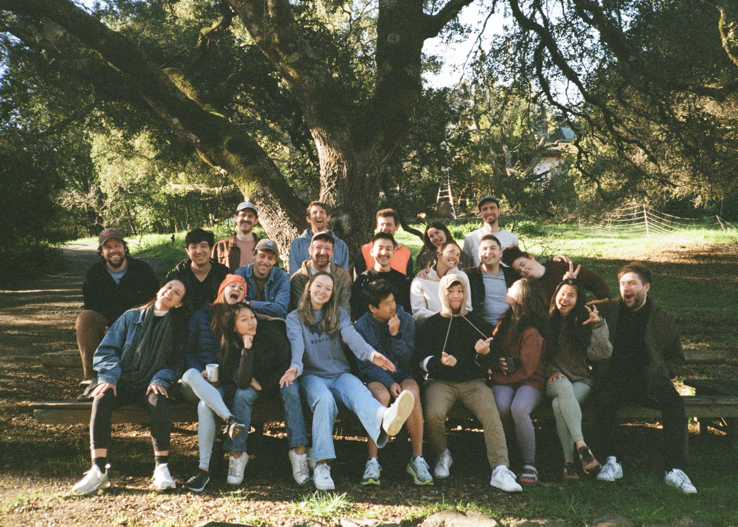 Ambrook team under an oak