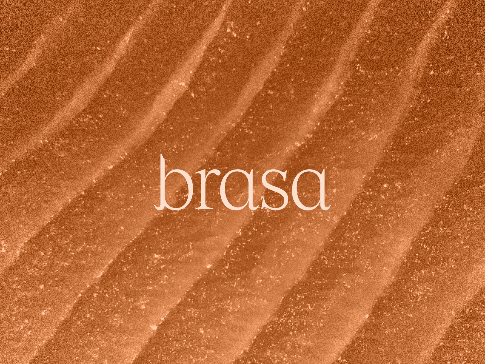 Brasa logo with salmon