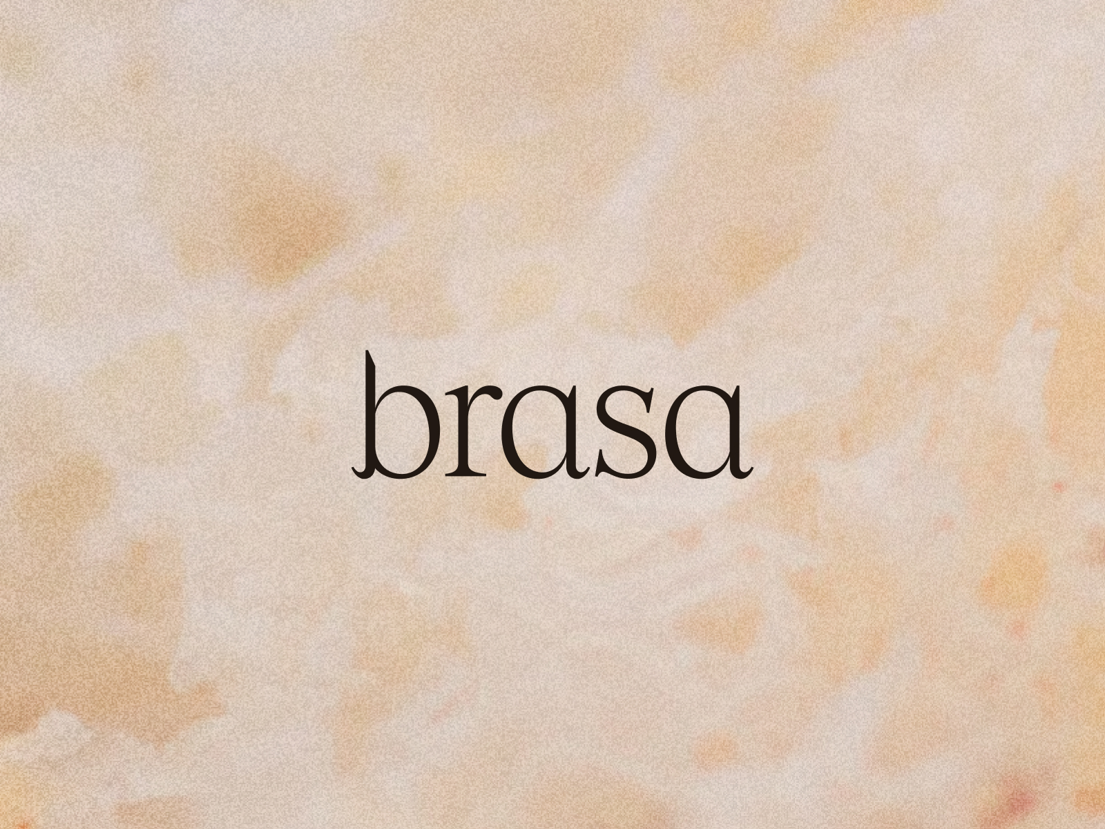 Brasa logo on rice