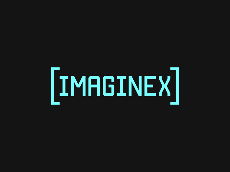 Imaginex bumper